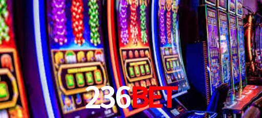 236Bet App